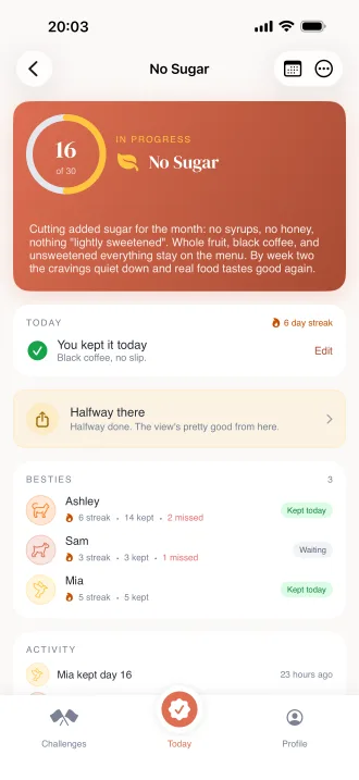 Challenge detail showing friends, streaks, and recent activity